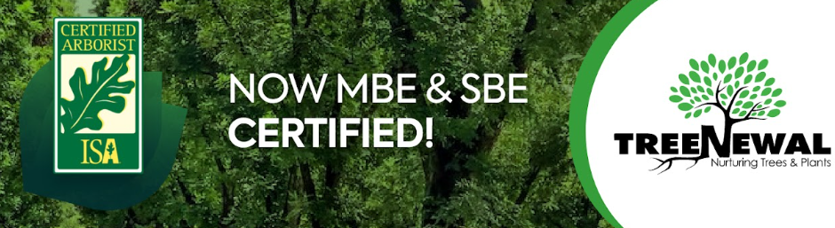 Cover photo of TreeNewal, Certified Arborist